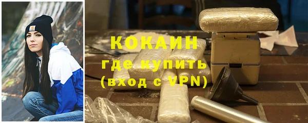 мдпв Новозыбков