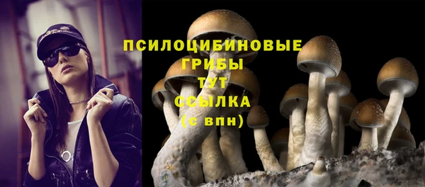 кристаллы Новокубанск