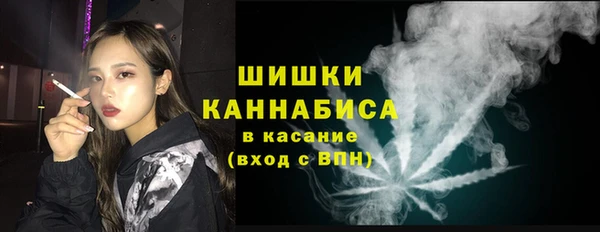 мдпв Новозыбков