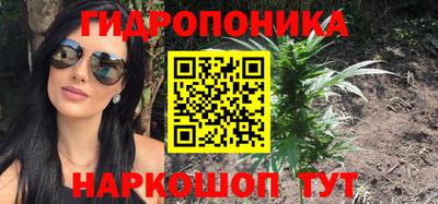 хмурый Гусь-Хрустальный