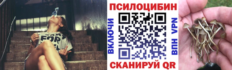 Псилоцибиновые грибы мицелий  купить наркоту  Касимов 