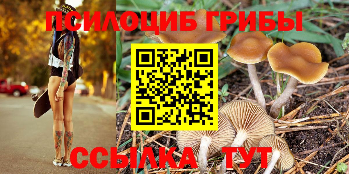 Псилоцибиновые грибы GOLDEN TEACHER Касимов